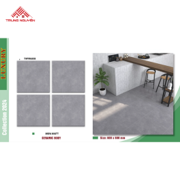 Gạch Men 60x60 MATT: THPM6808