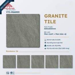 Gạch 60x60 Đá Matt: M66003