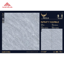 Gạch Đá 100x100: MG1005