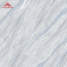 Gạch Lát Porcelain FPU8006