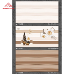 Gạch Men 30x60: CT3692 - CD3692 - CT3693