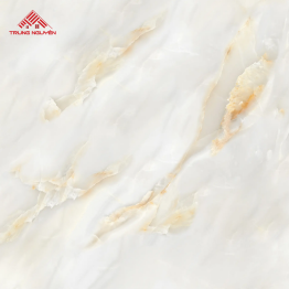 Gạch Lát Porcelain FPU8003