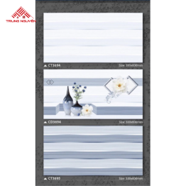 Gạch Men 30x60: CT3694 - CD3694 - CT3695