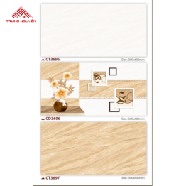 Gạch Men 30x60: CT3696 - CD3696 - CT3697