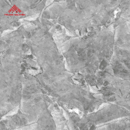 Gạch Lát Porcelain FPU8005