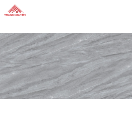  Gạch Ốp Tường Ceramic CT39003 (30x60)