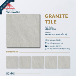 Gạch 60x60 Đá Matt: M66002