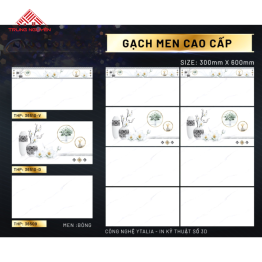 Gạch 30x60 Men: THP36509- THP36510D- THP36510V