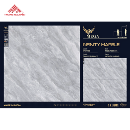 Gạch Đá 100x100: MG1002