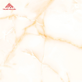 Gạch Đá 60x60: THP6910