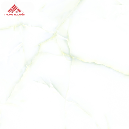 Gạch Đá 60x60: THP6909