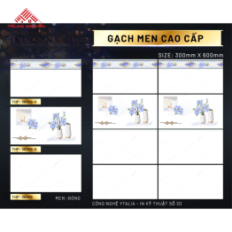 Gạch 30x60 Men: THP36509- THP36509D- THP36509V