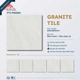Gạch 60x60 Đá Matt: M66001