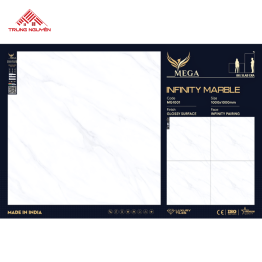 Gạch Đá 100x100: MG1001