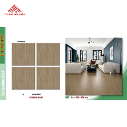 Gạch Men 60x60 MATT: THPM6806