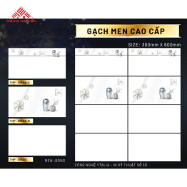 Gạch 30x60 Men: THP36500- THP36508D- THP36508V
