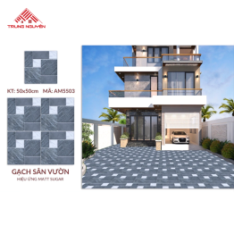 Gạch 50x50 Sugar: AM5503