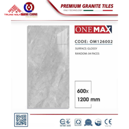 Đá Bóng Kiếng Cao Cấp 60x120CM OM126002