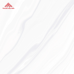 Gạch Đá 60x60: THP6908