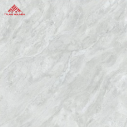 Gạch Porcelain 26905 (60x60)