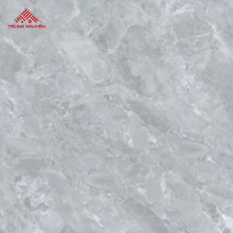 Gạch Porcelain 26903 (60x60)