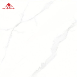 Gạch Porcelain 26904 (60x60)