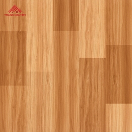 Gạch Ceramic F5016 (50x50)