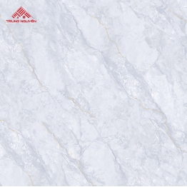 Gạch Ceramic F5023R (50x50)