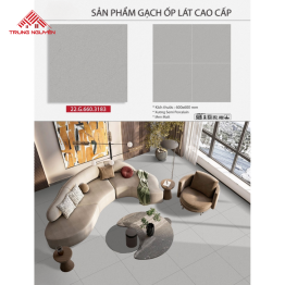 Gạch Ốp Lát Cao Cấp 22.G.660.3183 (60x60)