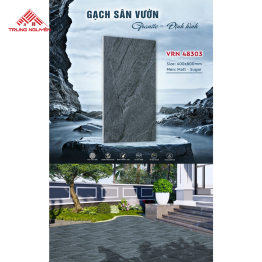 Gạch Sân Vườn VRN 48303 (40x80)