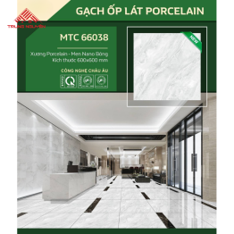 Gạch Ốp Lát MTC 66038 (60x60)