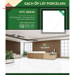 Gạch Ốp Lát MTC 66040 (60x60)
