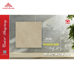 Gạch Porcelain Matt Màu Be Vân Đá TASA 30x30 – Mã 3134