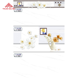 Gạch Ốp LY - 30603 (30x60)
