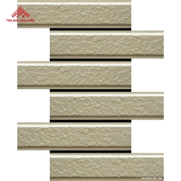 Gạch Ốp Tường VIETNHAT-BFF_006-1