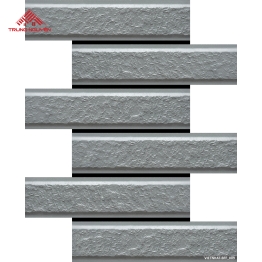 Gạch Ốp Tường VIETNHAT-BFF_009-1