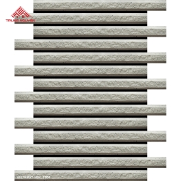 Gạch Ốp Tường VIETNHAT-HBK_2504