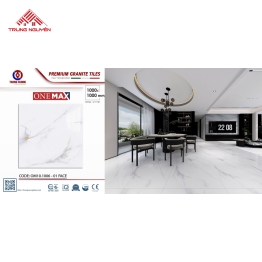 Gạch Lát Nền Granite Cao Cấp 100x100: OM10.1006 - 01 Face