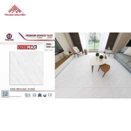 Gạch Lát Nền Granite Cao Cấp 100x100: OM10.1020 - 01 Face