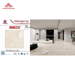 Gạch Lát Nền Granite Cao Cấp 100x100: OM10.1021 - 01 Face