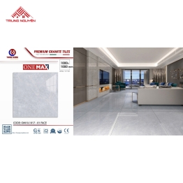 Gạch Lát Nền Granite Cao Cấp 100x100: OM10.1017 - 01 Face